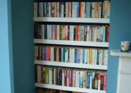 Book Shelves and log stack