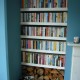 Book Shelves and log stack